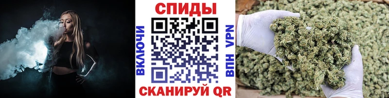 закладки  Клинцы  БУТИРАТ BDO 