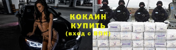 индика Белокуриха