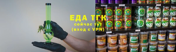 индика Белокуриха