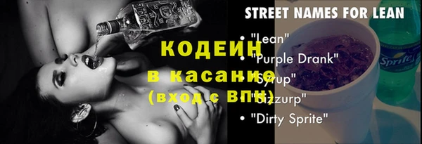 индика Белокуриха