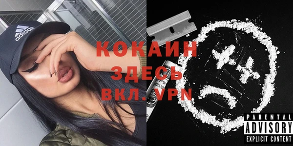 индика Белокуриха
