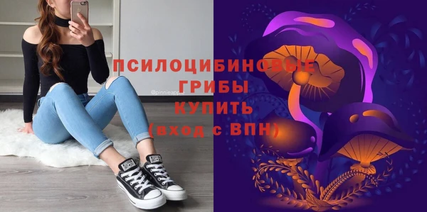 apvp Беломорск
