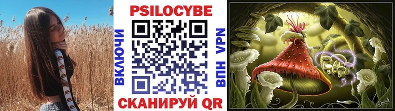 где найти наркотики  даркнет клад  Галлюциногенные грибы мицелий  Клинцы 